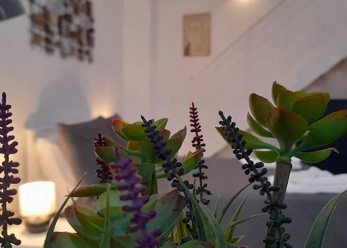 Apartmán Miriam Loft S.orsola